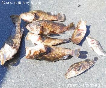 �����Υ���Х�