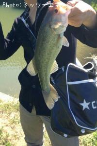 �֥�å��Х�