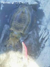 �����ꥤ��