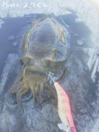 �����ꥤ��