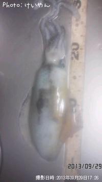 �����ꥤ��