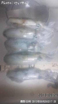 �����ꥤ��