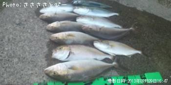 ¥·¥ç¥´¡õ¥ï¥«¥·¡õ¥µ¥Ð¡õ¥¨¥½