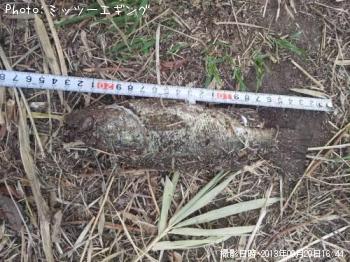 ¥Ö¥é¥Ã¥¯¥Ð¥¹