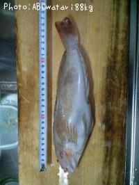 �����ʥ�