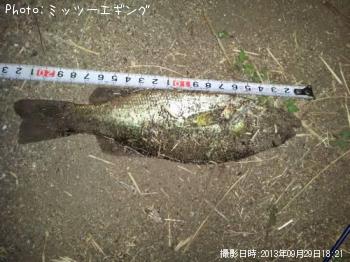 ¥Ö¥é¥Ã¥¯¥Ð¥¹