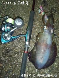 �����ꥤ��