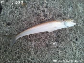 �����ꥤ��