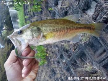 ¥Ö¥é¥Ã¥¯¥Ð¥¹