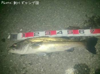 �����Х�