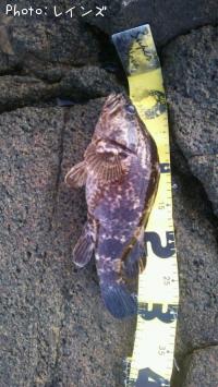 �����Υ���Х�