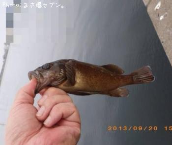 ������Х�