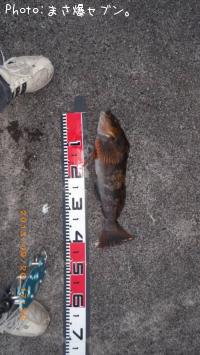 �����ʥ�