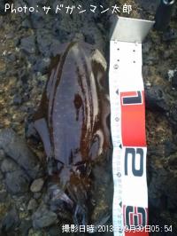 �����ꥤ��