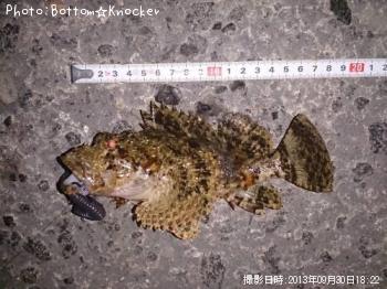 ¥¤¥Ì¥«¥µ¥´