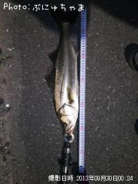 �����Х�