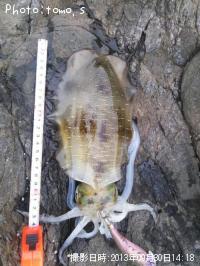 �����ꥤ��