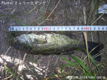 �֥�å��Х�