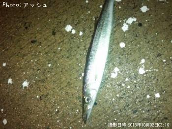 ¤ï¤«¤ó¤Ê¤¤