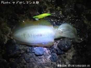 �����ꥤ��