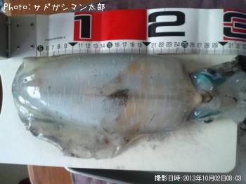 �����ꥤ��