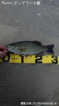 ���⡼��ޥ����Х�