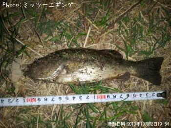 �֥�å��Х�