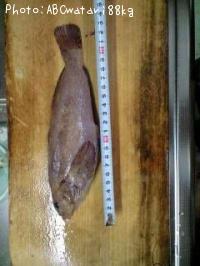 �����ʥ�