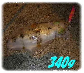 �����ꥤ��