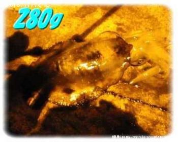 ¥¢¥ª¥ê¥¤¥«