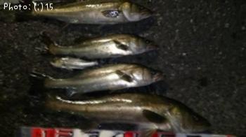 �����Ф�