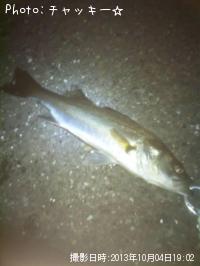 �����Х�