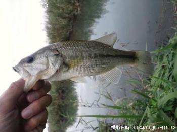 �֥�å��Х�