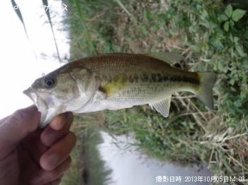 �֥�å��Х�