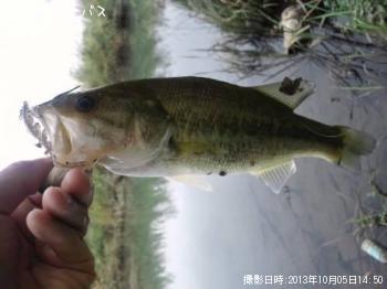 �֥�å��Х�