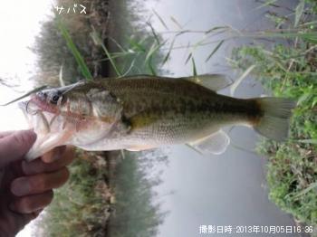 �֥�å��Х�