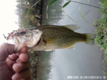 �֥�å��Х�