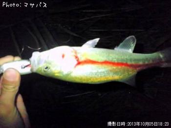 �֥�å��Х�