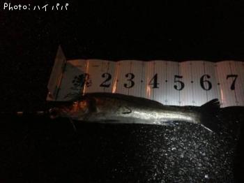 �����Х�