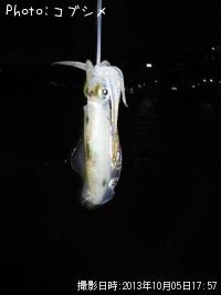 �����ꥤ��