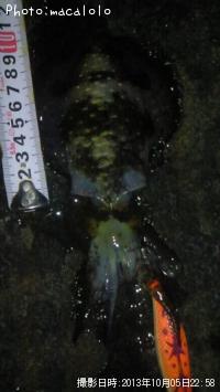 �����ꥤ��