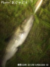 �����Х����񡢥�����