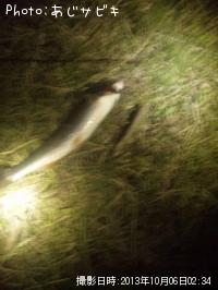 �����Х����񡢥�����