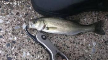 �����Ф�