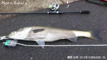 �����Х�