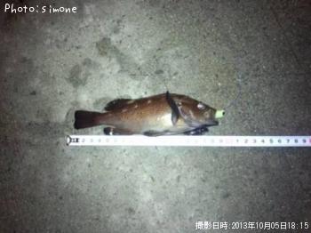 ������Х�