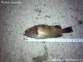 ¥¨¥¾¥á¥Ð¥ë