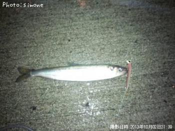 ���奦�ꥦ��