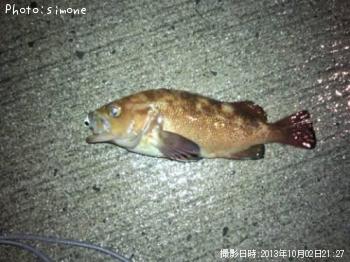 ¥¨¥¾¥á¥Ð¥ë