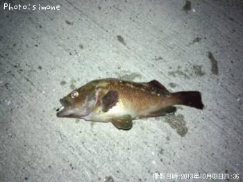 ������Х�